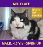 MR. FLUFF